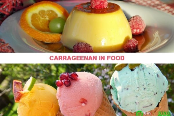 carrageenan in food jelly & ice cream