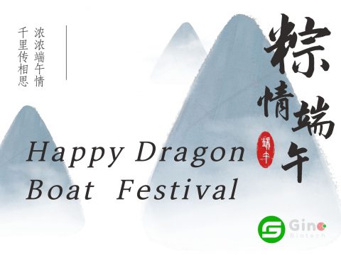 dragon boat festival_Gino Biotech